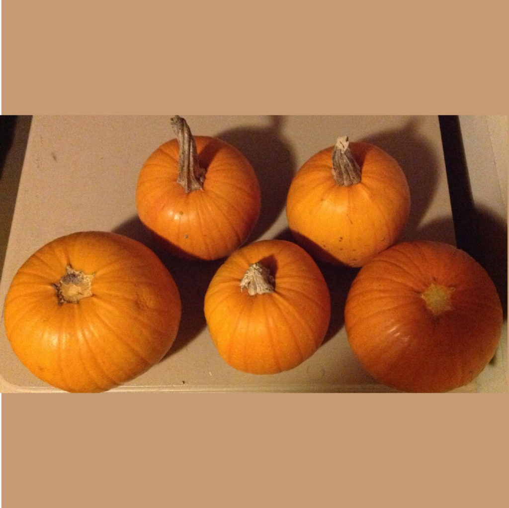 Five small pumpkins