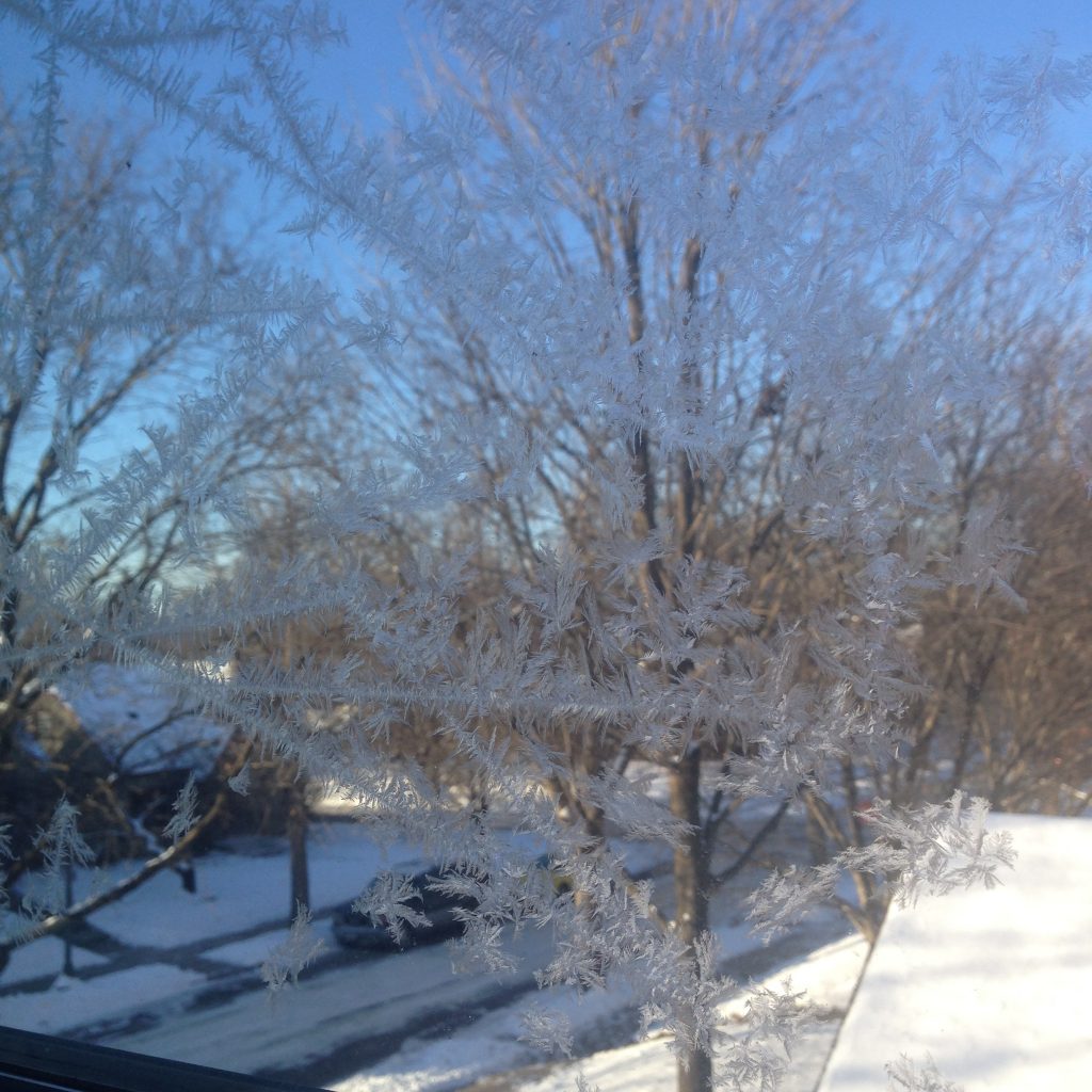 frozen patterns on window