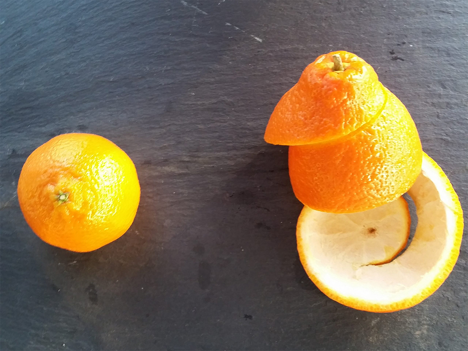 Orange peels on table